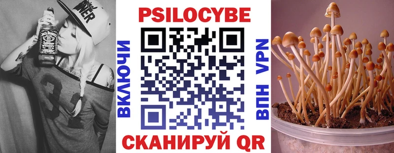 Псилоцибиновые грибы Magic Shrooms  где купить наркоту  Сорочинск 